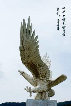 叶赫风光之神鹰海冬青
