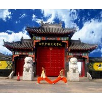 四平少林武术学校仿古校门